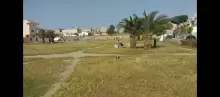 بن عروس
